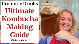 Beginners Guide to Kombucha Making  How to Make Kombucha at Home [upl. by Llerral249]