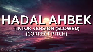 Hadal Ahbek TikTok Version Slowed CORRECTED PITCH  Issam Alnajjar [upl. by Brezin]