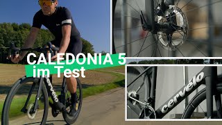 Komfort trifft Leistung Das Cervelo Caledonia 5 Ultegra Di2 im Test [upl. by Douglass]