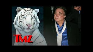 Siegfried amp Roy Tiger Manticore Dies  TMZ [upl. by Hareehahs]