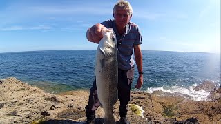 Bass Lure Fishing from the Rocks  Twitching Weedless Lures Worked [upl. by Roos]