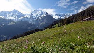 Switzerlands Jungfrau Region Best of the Alps [upl. by Yrogreg978]