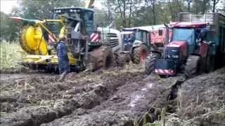 ensilage maïs 2012 manche [upl. by Spiegleman943]