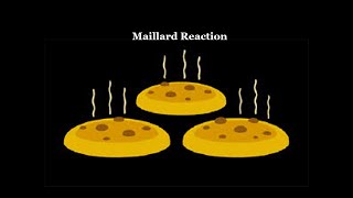 Maillard Reaction [upl. by Archy]