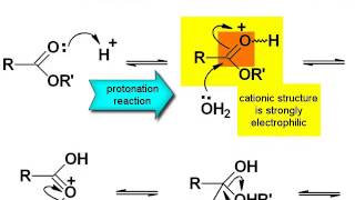 Chemistry Vignettes Acid catalysed ester hydrolysis [upl. by Htesil]