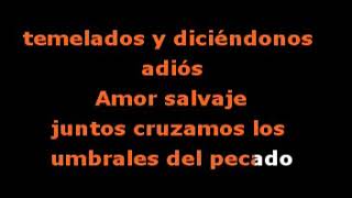 Amor salvaje  Video karaoke [upl. by Ardisj]