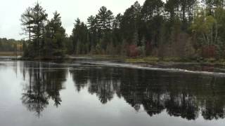 Beaver Dam Collapse [upl. by Dorcia770]