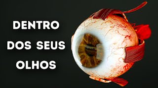 O Que Acontece Dentro Dos Seus Olhos [upl. by Repinuj]