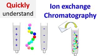 Ion exchange chromatography [upl. by Horacio609]