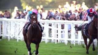 The Frankel Story  BBC Sport [upl. by Lorilyn]