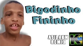 Bigodinho Fininho  AtilaKw Remix [upl. by Yuma]