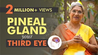 Take Care of your Pineal Gland by doing this  Dr Hansaji Yogendra [upl. by Odrick]