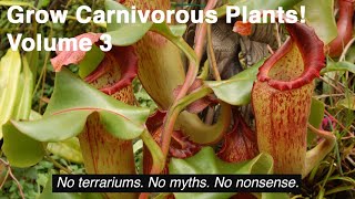 Grow Carnivorous Plants Volume 3  Nepenthes [upl. by Cornel]