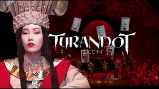 Turandot A Summary amp Analysis [upl. by Ahseer]