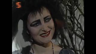 Siouxsie Sioux 1980s Interviews  part 1 [upl. by Harras137]