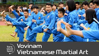 Vovinam  Vietnamese Martial Art  Trans World Sport [upl. by Barvick201]