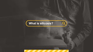 What is silicosis Professor Malcolm Sim [upl. by Wakerly]