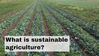 What is sustainable agriculture [upl. by Pammi]