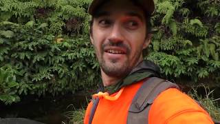 Hunting the Kauai BackCountry for Pig amp Deer [upl. by Euqinaj]