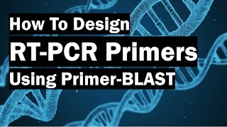 How To Create RealTime PCR Primers Using PrimerBLAST [upl. by Suchta573]