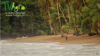 Recorrido Turístico por Bahía Solano Chocó Colombia  TvAgro por Juan Gonzalo Angel [upl. by Lehcin682]