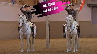 Spanish Riding School Pas De Deux  White Lippizaner Stallions [upl. by Runkle]