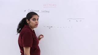 Class 12th – Collinear Vectors  Vector Algebra  Tutorials Point [upl. by Newfeld706]