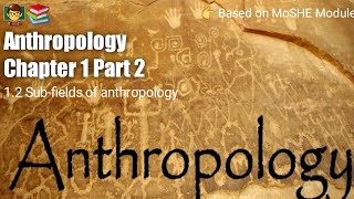 Anthropology Chapter 1  Part 2   Subfields of anthropology [upl. by Ola702]