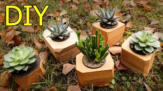 DIY Succulent Planter [upl. by Nnylyram]