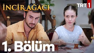 İncir Ağacı 1 Bölüm [upl. by Attah]