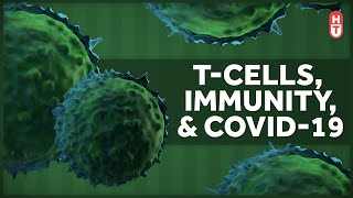 The Immune System TCells and Covid19 [upl. by Schifra]