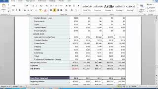 Business Plan Financials Tutorial [upl. by Solana]