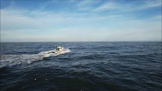 Westport Grays Harbor Bar crossing at MAX EBB for Halibut [upl. by Elynad]