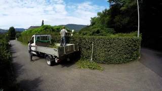 Hecke schneiden mit den Gartenprofis [upl. by Ainotna]