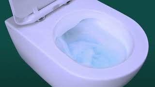 What are Rimless Toilets [upl. by Meggy]