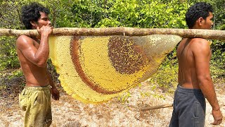 Primitive Technology Harvest Beehive and Honey by Brave Bushmen [upl. by Thilda184]