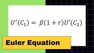 Deriving The Euler Equation [upl. by Akiaki]