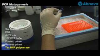 PCR Mutagenesis [upl. by Aineles]