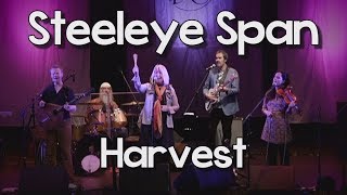 Steeleye Span  Harvest Live [upl. by Nnail]