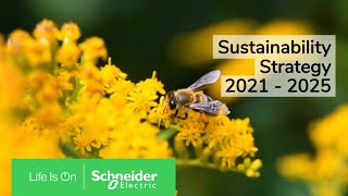 Sustainability Strategy 20212025  Schneider Electric [upl. by Elisabetta]