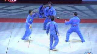 WVVF  VOVINAM VIET VO DAO DEMONSTRATION  BERCY PARIS 2008 [upl. by Flanna]