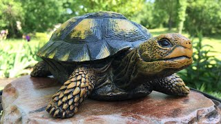 Make a Turtle Statue With Concrete [upl. by Estelle]