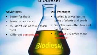 The Difference Between Diesel and Biodiesel [upl. by Solon]