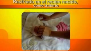 5 remedios contra la gripe ¿realmente funcionan resfriado común [upl. by Mareld292]