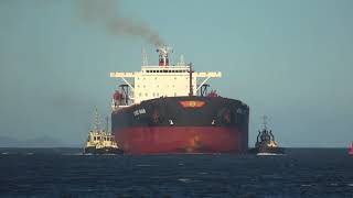 Ship Horn  Horn blast from bulk carrier ship 4K [upl. by Nickelsen]