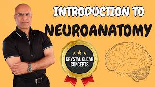 Intro to Neuroanatomy  Neurophysiology  Neuroscience  Central Nervous System [upl. by O'Connor]