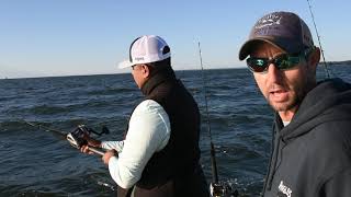 How To Troll for Fall Chesapeake Bay Rockfish and Bluefish [upl. by Havard274]