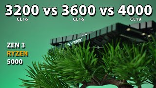 3200 vs 3600 vs 4000MHz RAM Ryzen 5 5600X Zen 3 Ryzen 5000 [upl. by Marin]