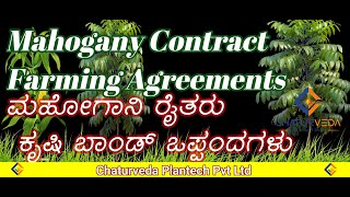 Contract Farming Mahogany Plantation Farmers [upl. by Shanon]