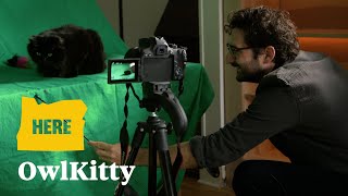 Meet the Portland cat and video creator behind viral OwlKitty [upl. by Znarf]